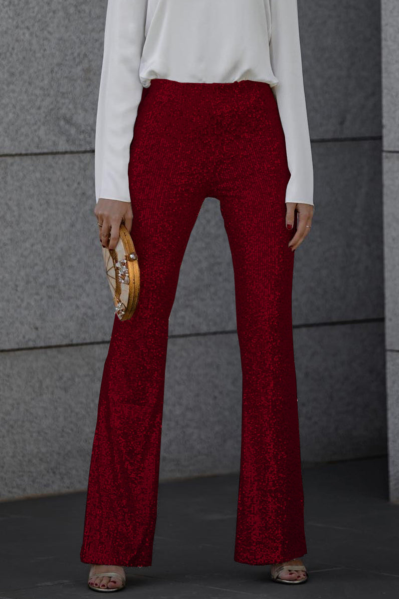 Camila | Shimmering Flared Pants Image