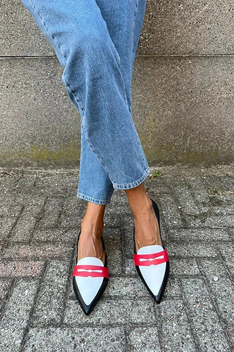 Morgan | Stylish Two Tone Pointed Slippers Image