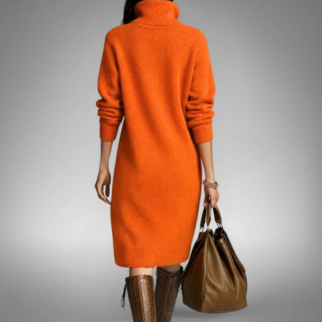 Arabella | Sophisticated High Neck Dress Image