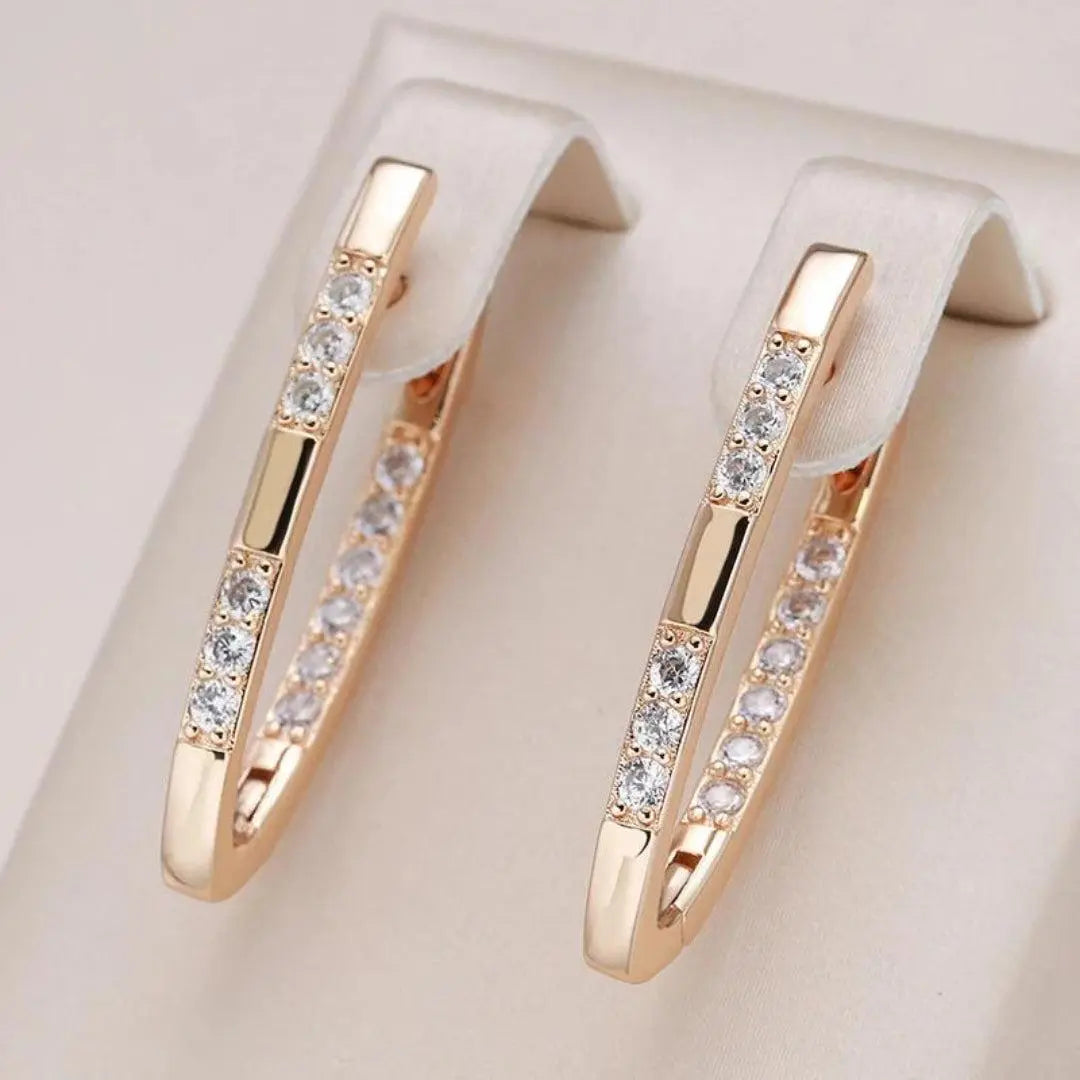 Anita | Elegant Zirconia Stones Earrings Image