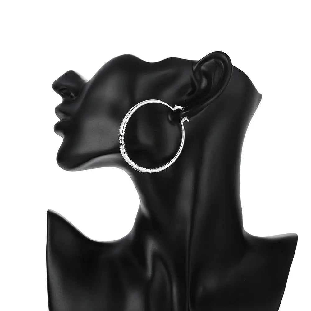 Tonya | Classic Retro Silver Long Earrings Image