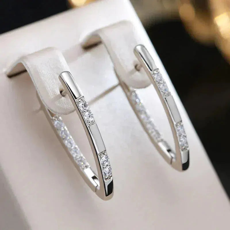 Anita | Elegant Zirconia Stones Earrings Image
